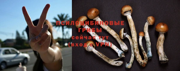 стафф Верхний Тагил