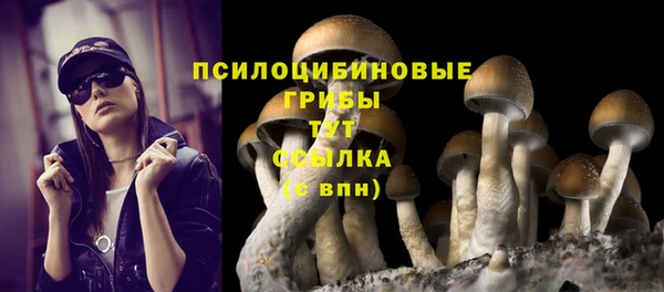 стафф Верхний Тагил