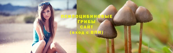 стафф Верхний Тагил